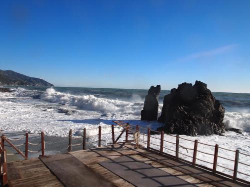 a couple of animals sitting on a rock in the ocean at da Benedetta in Monterosso al Mare