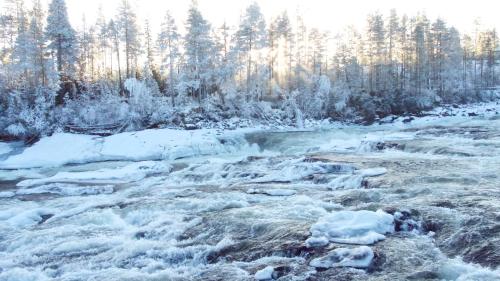 a river covered in snow with trees in the background at Nordic character in Vidsel