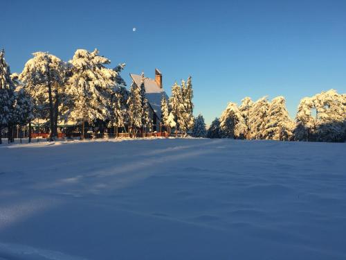 Galería fotográfica de Jefimija en Jasikovice