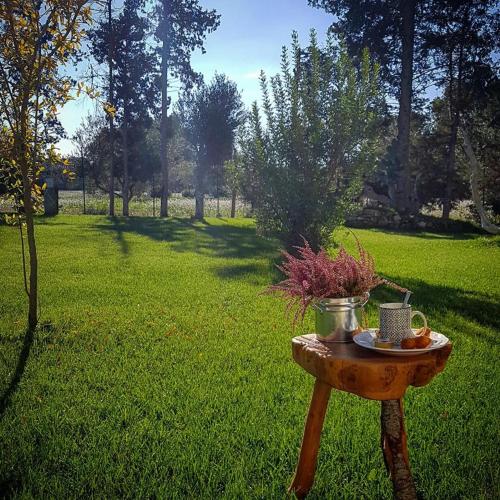 Κήπος έξω από το Tenuta Guarascio