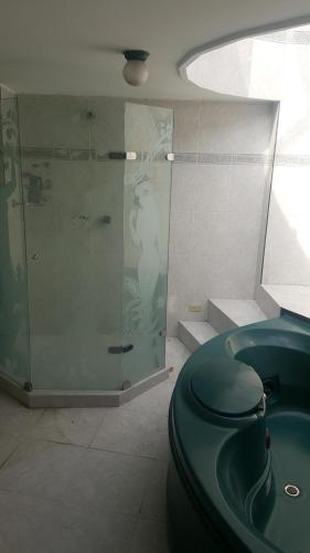 een badkamer met een groen toilet en een glazen douche bij Hostal Mallorca Boutique in Cali