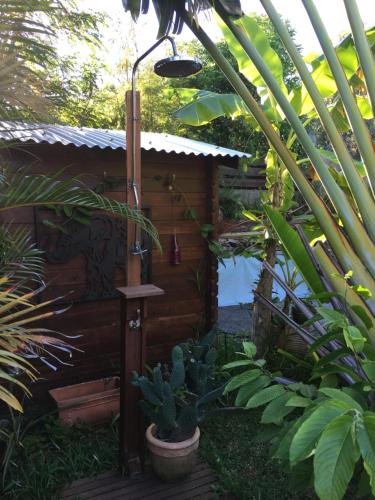 a garden with a shower and some plants at Le Chalet dAZAE in La Rivière