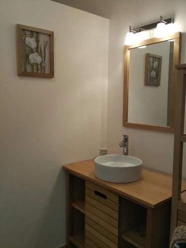 une salle de bain avec un lavabo et un miroir dans l'établissement Charmante bastide à Vallon Pont d'Arc, à Vallon-Pont-dʼArc