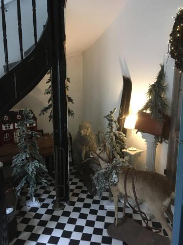 a room with a dog laying on a checkered floor at Das Kleine Hotel Schleiblick in Schleswig