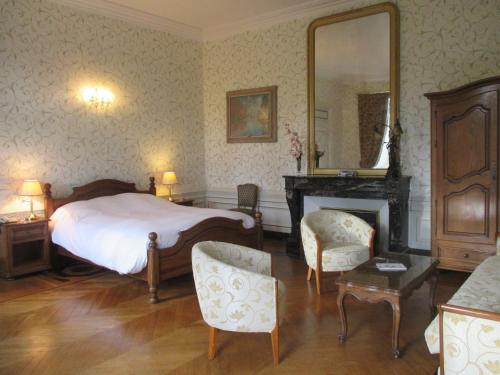 a bedroom with a bed and a fireplace and a mirror at Château des Monthairons Hôtel Restaurant GastroMaison Spa privatif in Les Monthairons