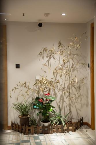 Gambar di galeri bagi Novo Hotel Chongqing di Chongqing