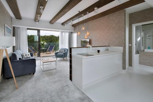 a kitchen and living room with a sink and a couch at Klonova in Białogóra