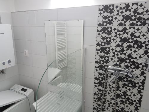 ケストヘイにあるZorka Apartmanのバスルーム(ガラスドア付きのシャワー付)