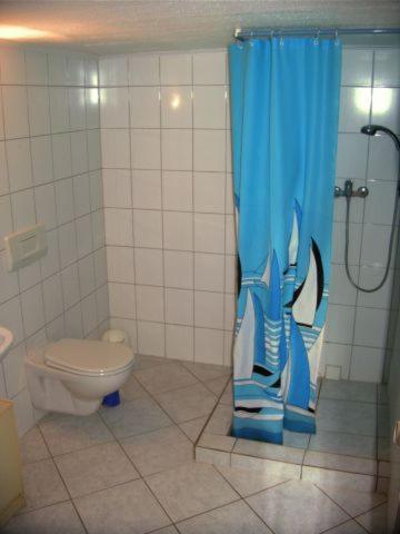 a bathroom with a toilet and a blue shower curtain at Charmante Ferienwohnung in Plön