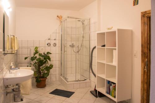 a bathroom with a shower and a sink at Ferienwohnung in der Altstadt von Goslar in Goslar