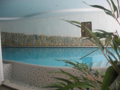Piscina di Pineta Natural Chalet o nelle vicinanze