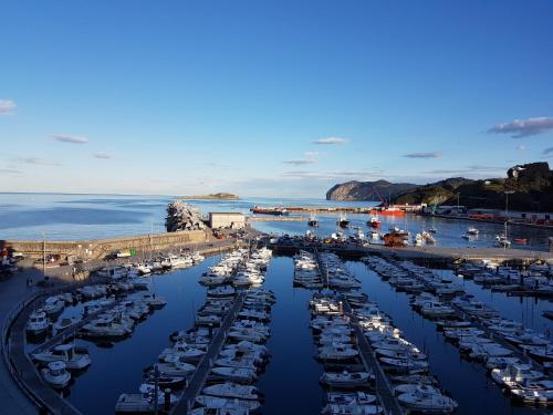 a bunch of boats are docked in a marina at Torrontero con vistas al mar in Bermeo