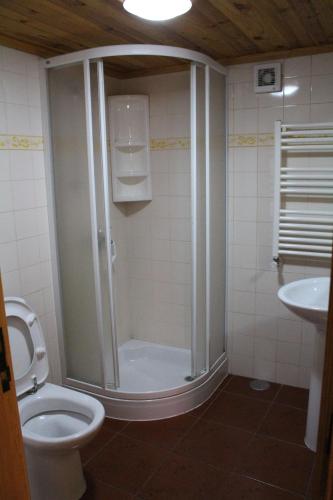 a bathroom with a shower and a toilet and a sink at Casa do Tio João in Seia