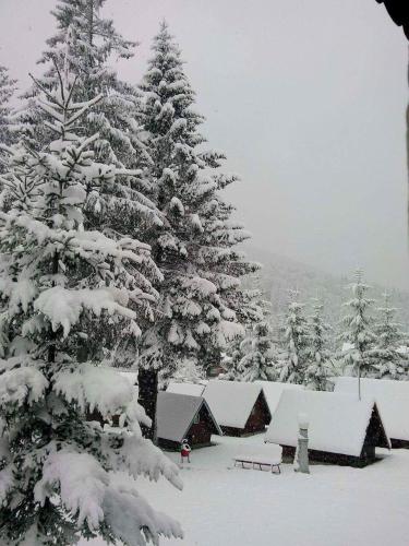 a snow covered pine trees with snow on them at Vila Bratocea in Cheia