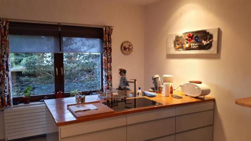 a kitchen with a counter with a sink and a window at La villa des Savoyards in Vielsalm