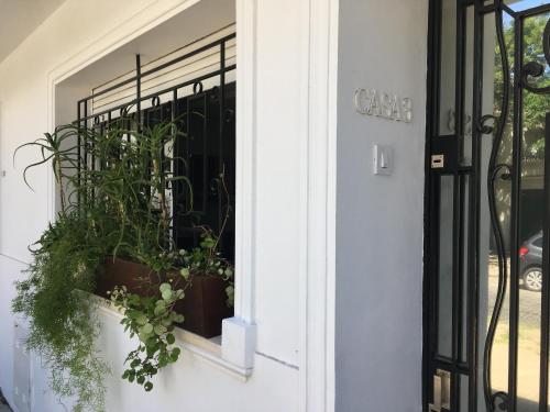Casa Tres – Photos 5
