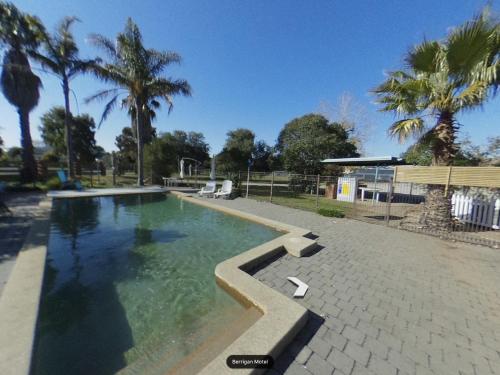 a swimming pool in a park with palm trees at Berrigan Motel in Berrigan