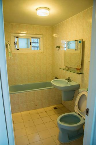 a bathroom with a toilet and a sink at Mountain Homestay 6-8人包棟民宿 in Xinhua
