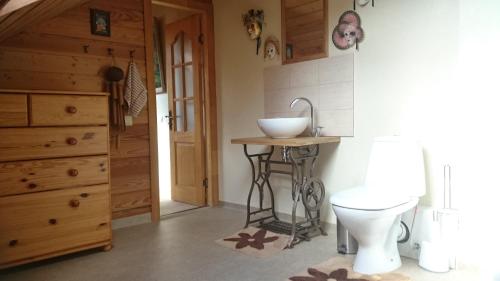 a bathroom with a sink and a toilet at Mētrini apartment near river Daugava in Ķekava