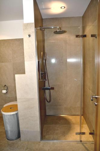 a shower with a glass door in a bathroom at Chasa Miramunt 7 in Scuol