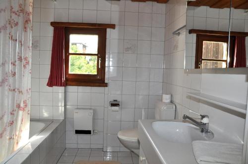 baño con lavabo y aseo y ventana en Chasa Sager 4 en Scuol