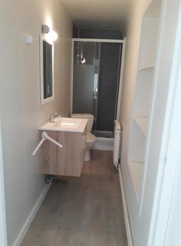 une salle de bain avec un lavabo, des toilettes et un miroir dans l'établissement Gîtes Les P'tites Maisons dans la Prairie, à Sallertaine