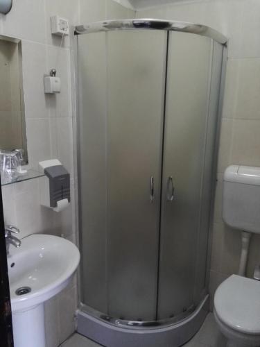 a shower in a bathroom with a sink and a toilet at Guest House Amico in Vranje
