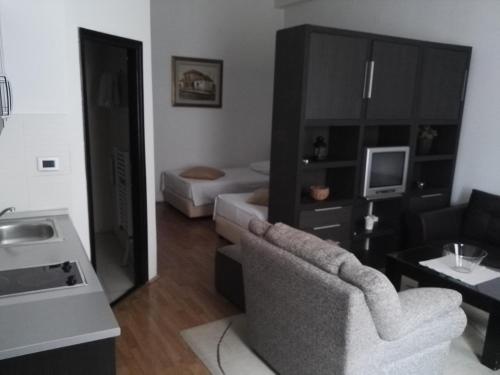 a living room with a couch and a chair and a television at Guest House Amico in Vranje