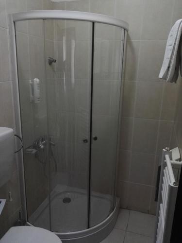 a shower with a glass door in a bathroom at Guest House Amico in Vranje