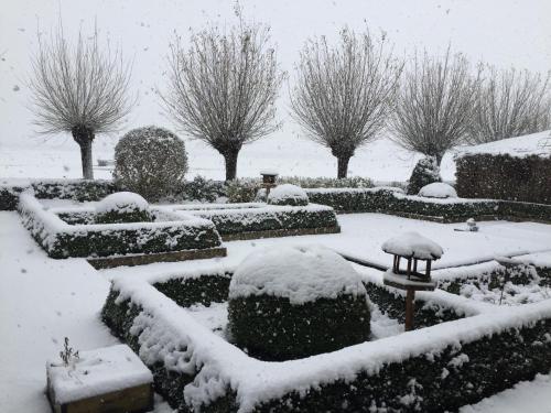 a garden covered in snow with trees in the background at Vakantielogies Boerke Naas in Bruges