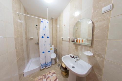 a bathroom with a sink and a shower and a toilet at Pensiunea Maria-Elena in Ponoarele