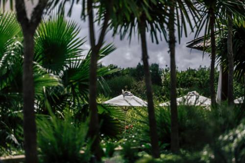a view of a garden with palm trees and umbrellas at Galboka Residence in Nerezine