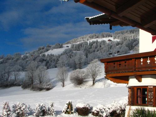 a snow covered mountain with trees and a house at Appartement Lotte Familie Grünberger in Brixen im Thale
