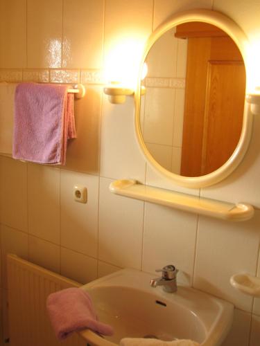 a bathroom with a sink and a mirror at Appartement Lotte Familie Grünberger in Brixen im Thale