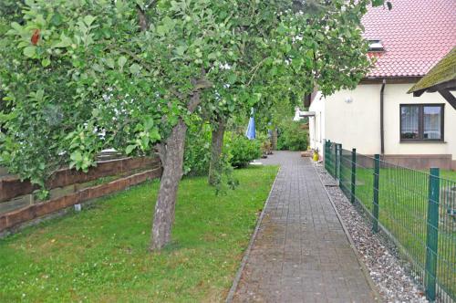 Ein Garten an der Unterkunft Ferienwohnung Krummin USE 2981