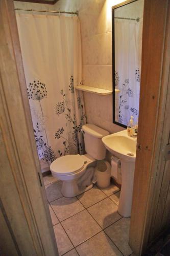 a bathroom with a toilet and a sink at Cabañas Vasconia in Castro