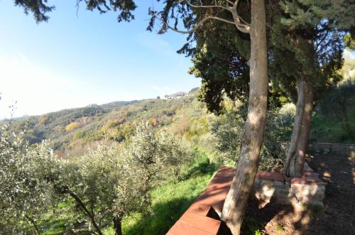 a view from the roof of a house with trees at La Cipressa in Collodi