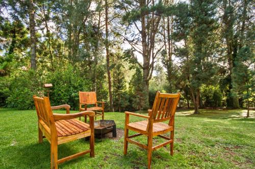 a group of chairs sitting in the grass at Villa Vintage Campos - Piscina e opções de suites com hidromassagem in Campos do Jordão