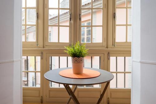a plant sitting on a table in front of windows at A dos pasos de Todo in Málaga