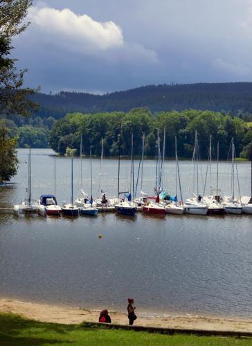 a group of boats are docked in a harbor at LIPNO WELLNESS - FRYMBURK HOTEL private family room in Frymburk
