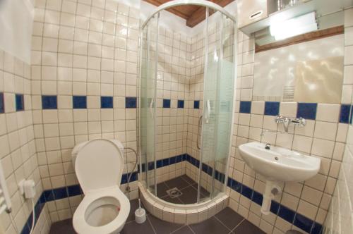 a bathroom with a toilet and a sink at Hotel Vyhlídka in Jilemnice