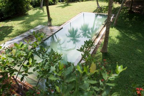 a glass pool in the middle of a garden at KAJU GREEN eco lodges in Unawatuna