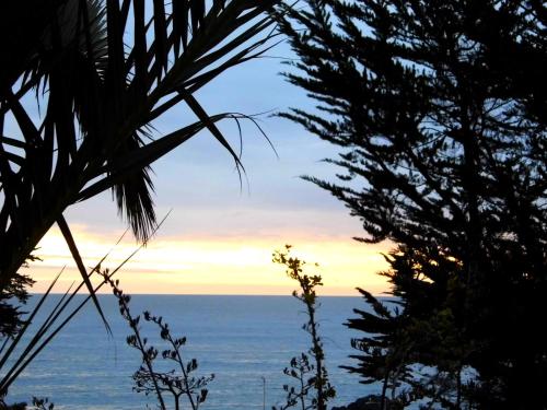 a view of the ocean from behind some trees at A Hotel Boutique Pelluhue in Pelluhue