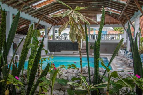 a swimming pool with plants in front of a house at Hosteria Casa Giralda in Baños