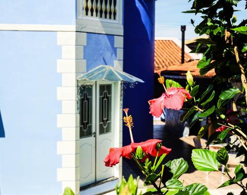a red flower in front of a blue building at Suite Queen D'Arte in Florianópolis