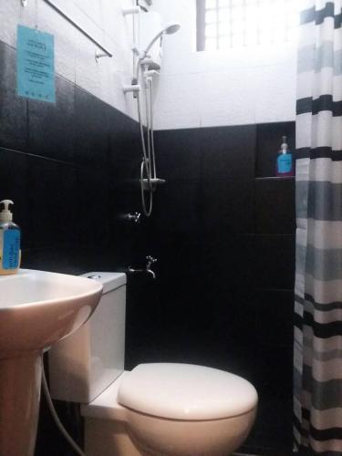 a bathroom with a shower and a toilet and a sink at Casita Aurora Bed and Breakfast in Legazpi