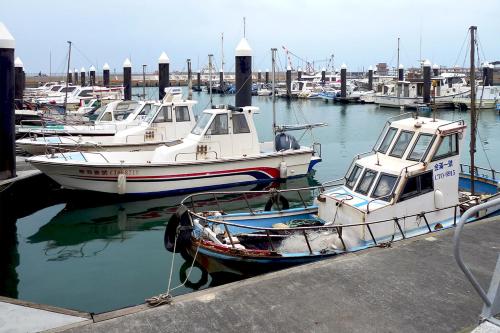 a group of boats are docked in a harbor at Guest Motel- Zhongli Branch in Pingzhen