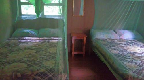 a bedroom with two beds and a table and a window at Batad Lhorens Inn and Restaurant in Banaue