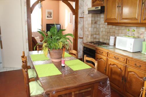 a kitchen with a table with a plant on it at le balcon du parc in Laubressel