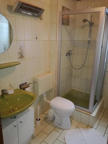 a bathroom with a shower and a toilet and a sink at Haus Mühlbichl in Finkenberg